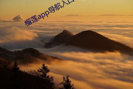 榴蓮app導航入口