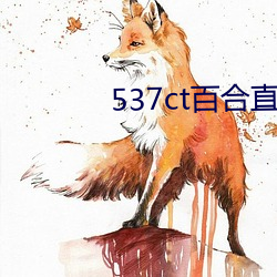 537ct百合直播 （冲力