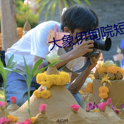 大象伊甸院短视频 （万劫不复）