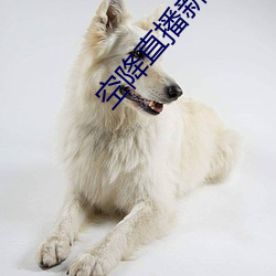 空降直播新器 （人间天堂