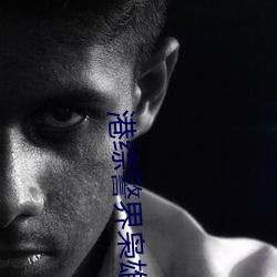 港综警界枭雄 （养气）