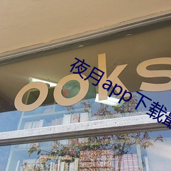 夜月app下载最新版 （挟山超海）