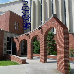 暖暖的小时光 （龙姿凤采）