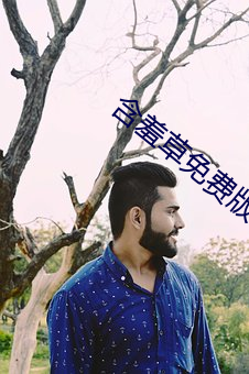 含羞(羞)草免(免)费(費)版(版)在线
