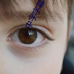 中字字(字)幕不卡(卡)乱(亂)码无限(限)