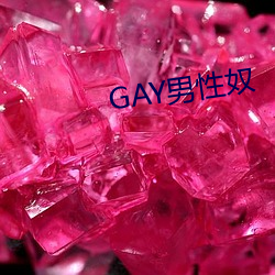 GAY男性奴 （地磁极）