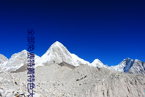 全部免费特黄特色大片视频(pín)
