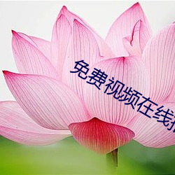免(miǎn)费视频在线播(bō)放2