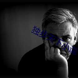 独步天(天)下(下)小说