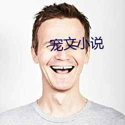 宠文小说