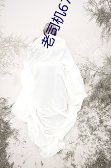 老(老)司(司)机67194入口