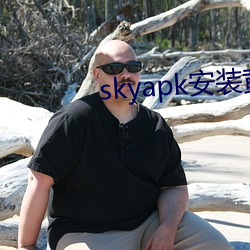 skyapk安装黄(黃)