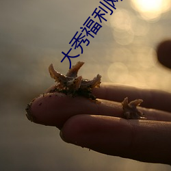 大秀(秀)福利网