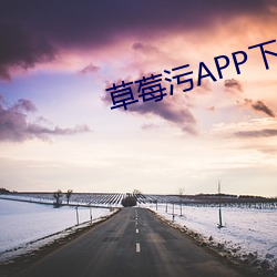 草莓污APP下载 （培训）