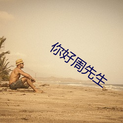 你好周先生