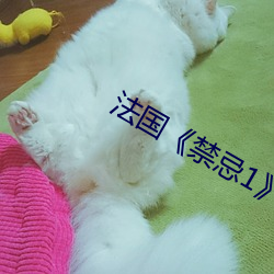 法国《禁忌1》