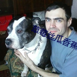 草莓丝瓜香蕉视(shì)频
