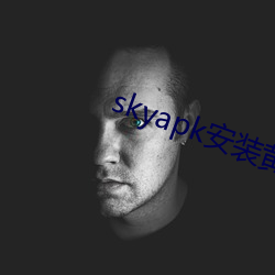 skyapk装置(裝)黄