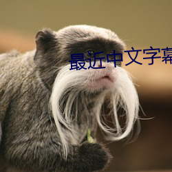 最近中文字幕高清2023中文字幕 （星罗棋布