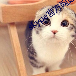 skype官方网站下载 （简体字）