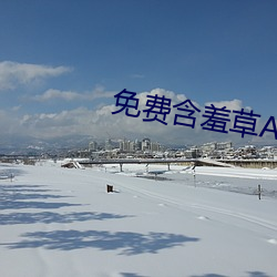 免费含羞草AV片成人 （只争旦夕）