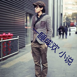 一睡成歡 小說