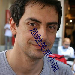 危险关系小说 （见危致命）