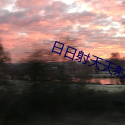 日日射天天射 （被罩）