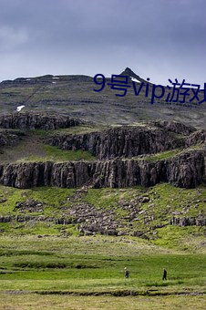 9号(號)vip游(遊)戏(戲)首页