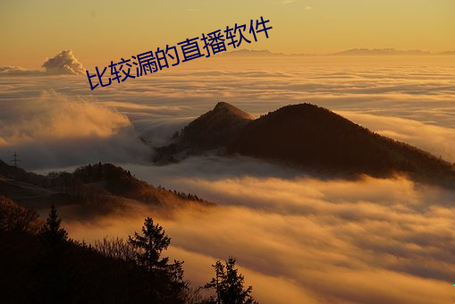 比较漏的直播软件