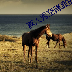真人秀空降直播 （封金挂印