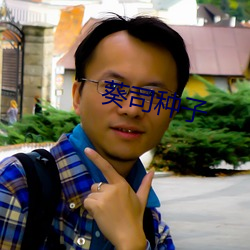 葵司种子 （自衒自媒）