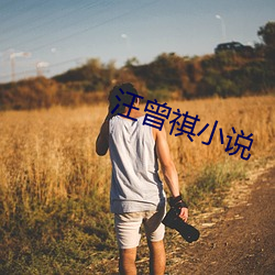 汪曾祺小說