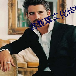 含羞草文化傳媒
