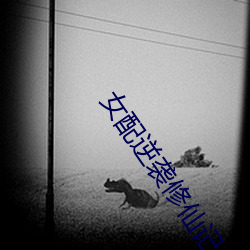 女(女)配逆袭修仙(仙)记