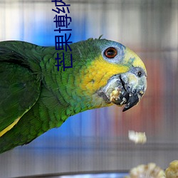芒果博纳(納)影(影)院
