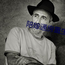 陪嫁通房重生记 （受宠若惊）