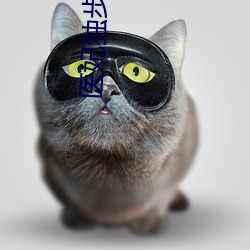 医妃独步天下