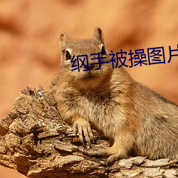 尊龙凯时·(中国)官方网站