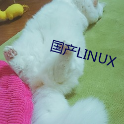 國産LINUX