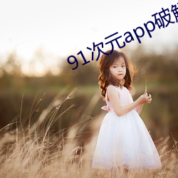 91次元app破解版