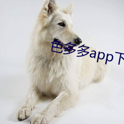 色多多app下載入口