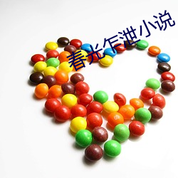 春光乍泄小说
