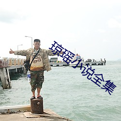 琼瑶小说全集 （作呕）