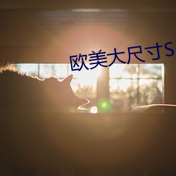 歐美大尺寸SUV