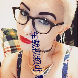 车载视频dj 暴露