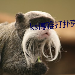ks博雅打(dǎ)扑克