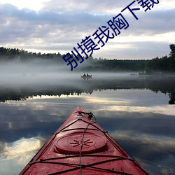 AG真人平台(中国)官方网站