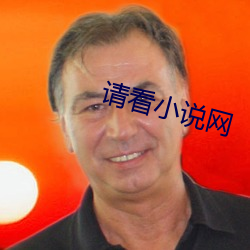 請看小說網