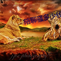 陪(陪)聊(聊)骚多少钱